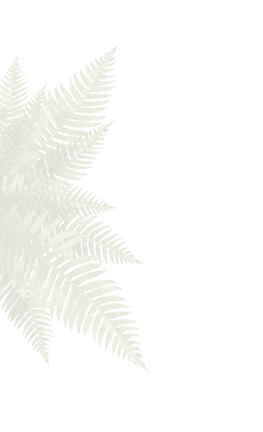 Top 2 Leaf