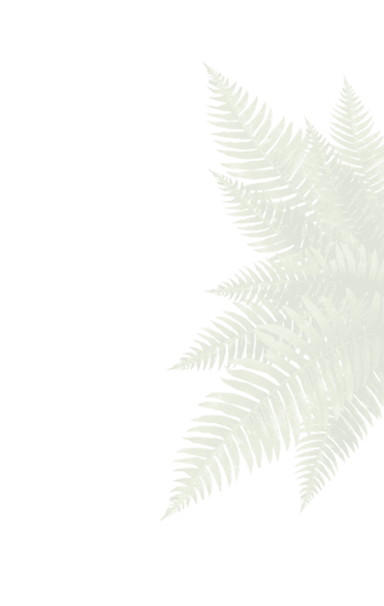 Top 2 Leaf